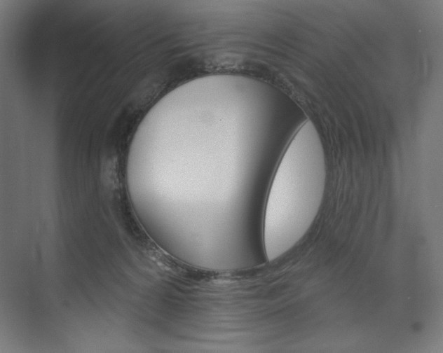 X0000073950224200608210951