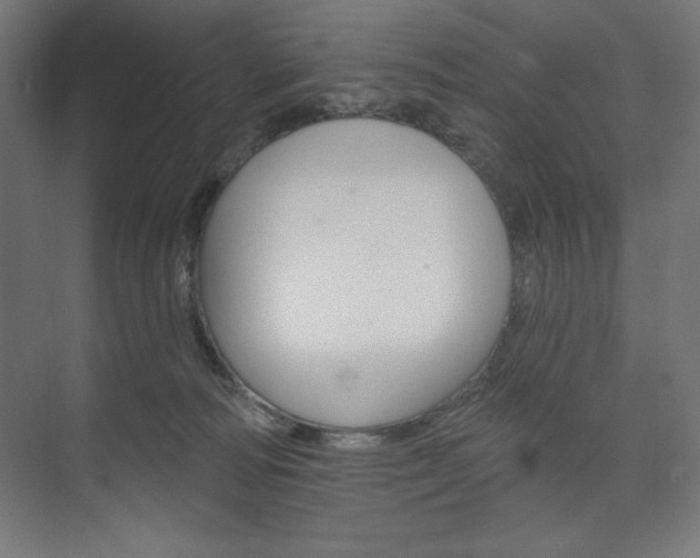 X0000073950226200608210950