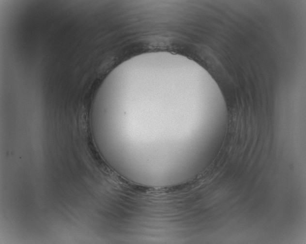 X0000073950228200608210950
