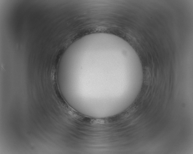 X0000073950230200608210950
