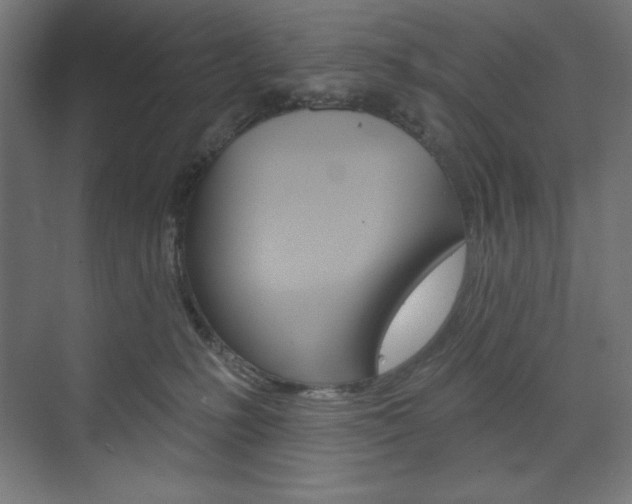 X0000073950231200608210950