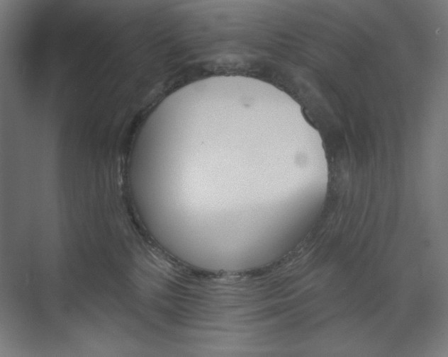 X0000073950232200608210950