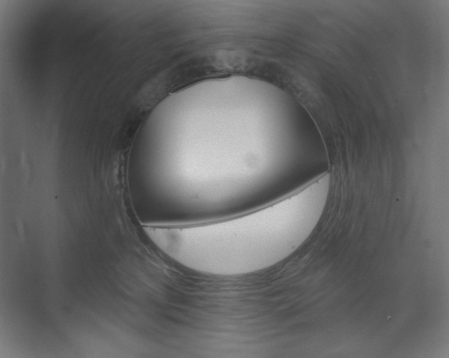 X0000073950233200608210950