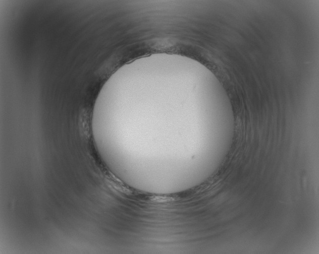 X0000073950234200608210950