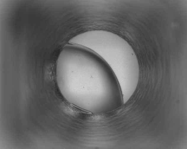 X0000073950237200608210950