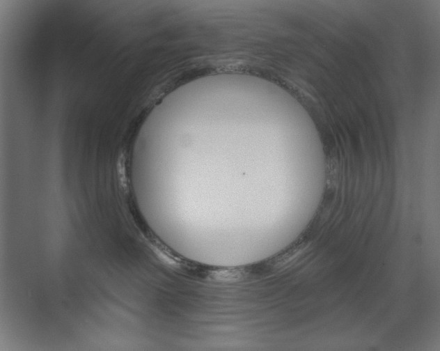 X0000073950238200608210950
