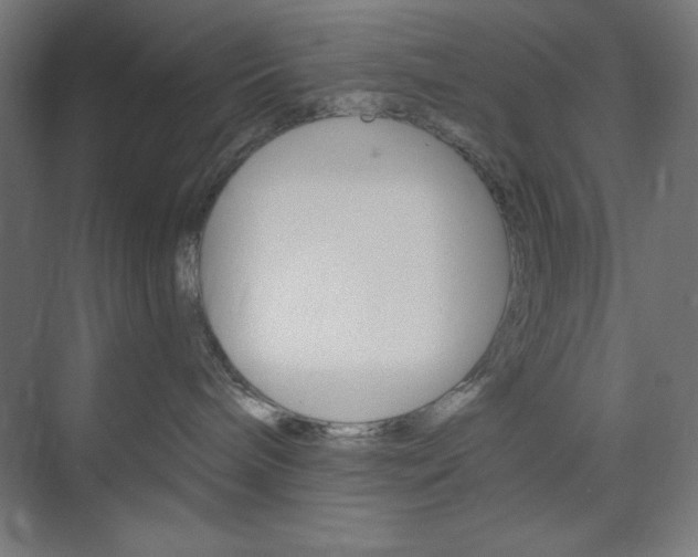 X0000073950240200608210950