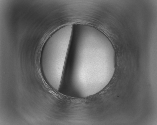 X0000073950241200608210949