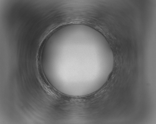X0000073950242200608210949
