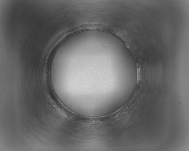 X0000073950243200608210949