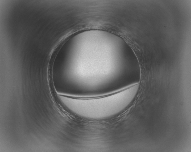 X0000073950244200608210949