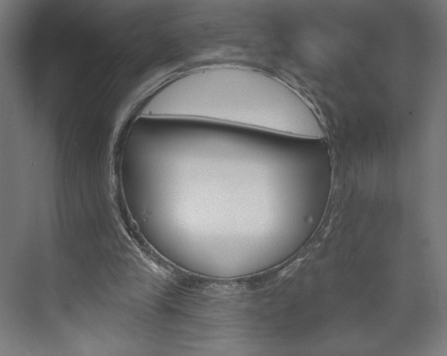 X0000073950245200608210950