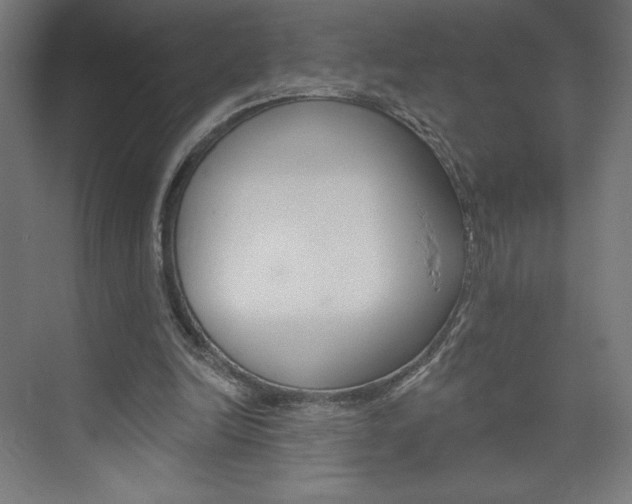 X0000073950246200608210950