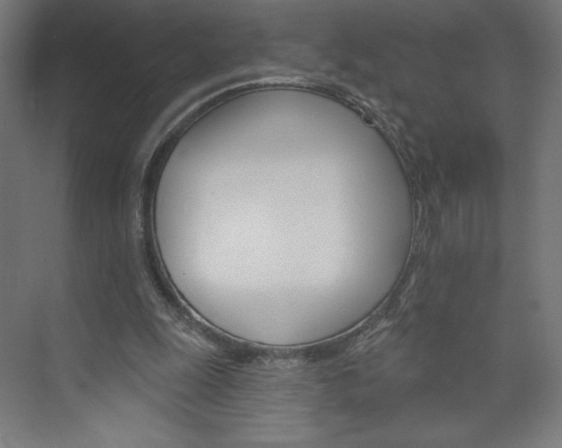 X0000073950247200608210950