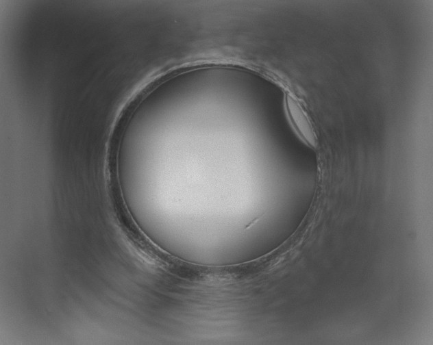 X0000073950248200608210950