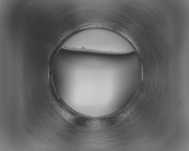 X0000073950253200608210950
