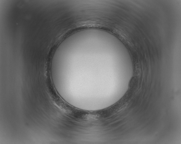 X0000073950255200608210950