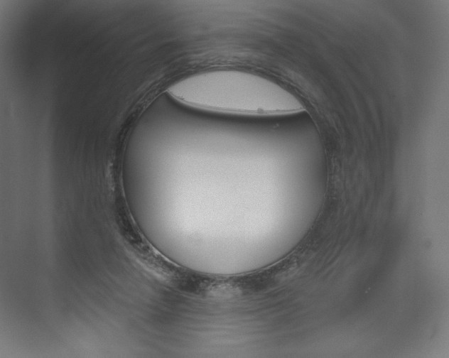 X0000073950258200608210950