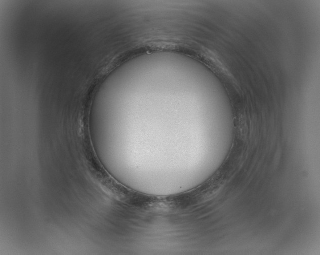 X0000073950259200608210950