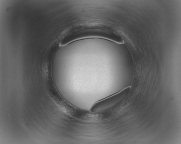 X0000073950260200608210950