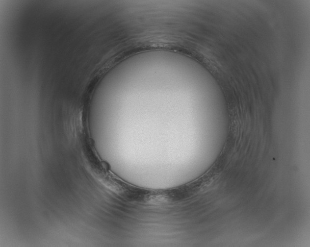 X0000073950262200608210950