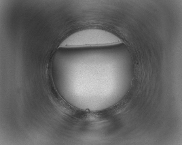 X0000073950263200608210950