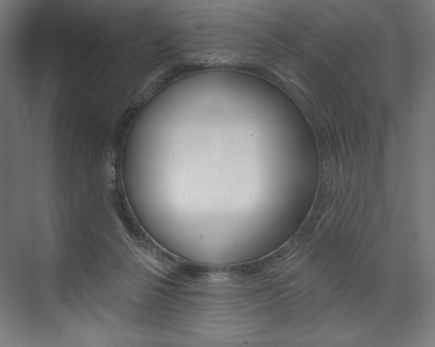 X0000073950264200608210950
