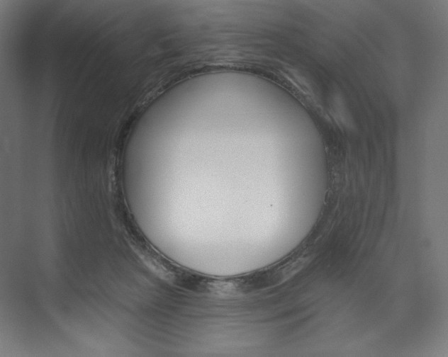X0000073950265200608210950
