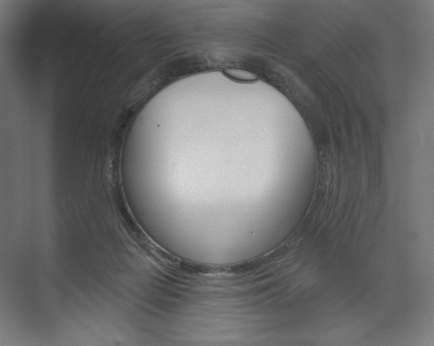 X0000073950266200608210950