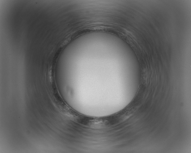 X0000073950267200608210950
