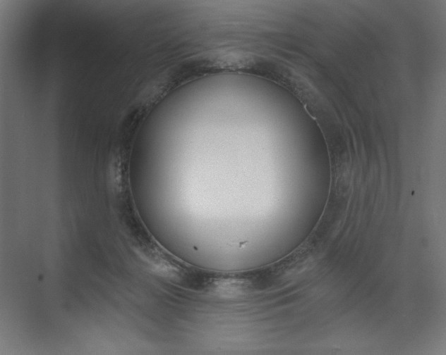 X0000073950268200608210950