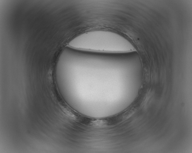 X0000073950269200608210950