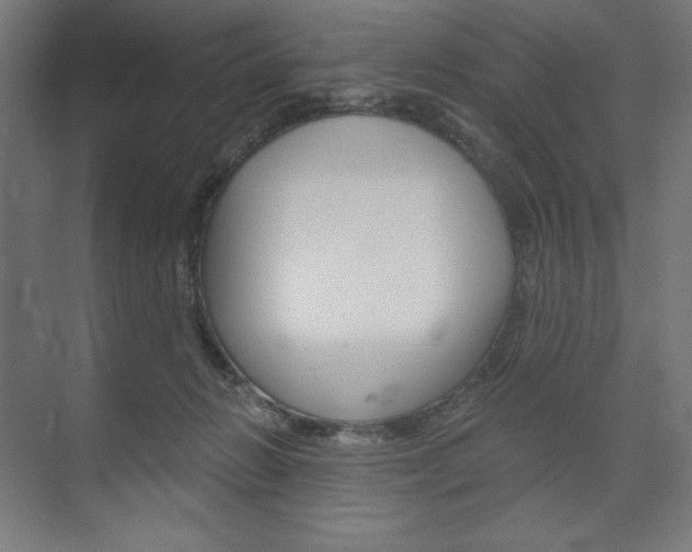 X0000073950270200608210950
