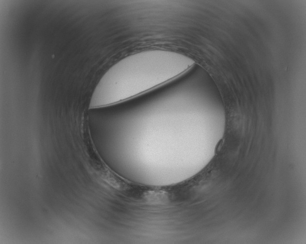 X0000073950271200608210950