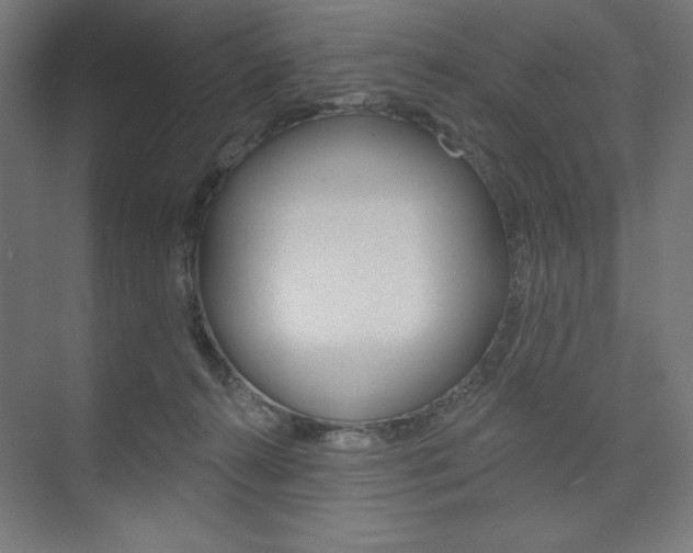 X0000073950272200608210950