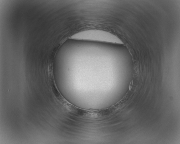 X0000073950276200608210950