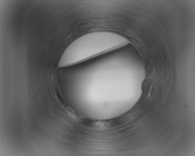 X0000073950277200608210950