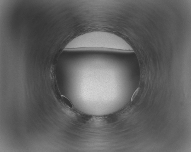 X0000073950280200608210950