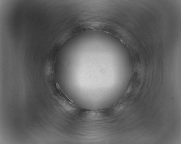X0000073950284200608210950