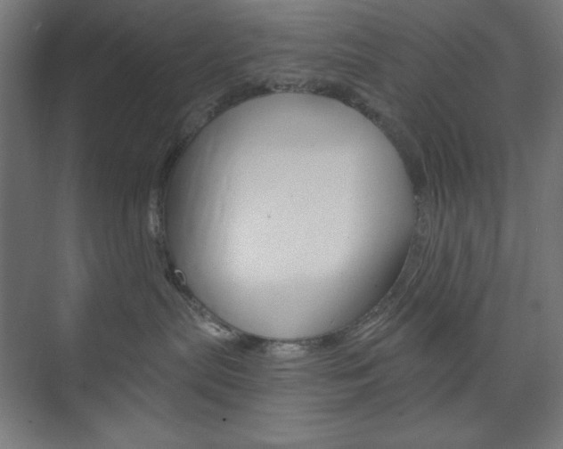 X0000073950287200608210950