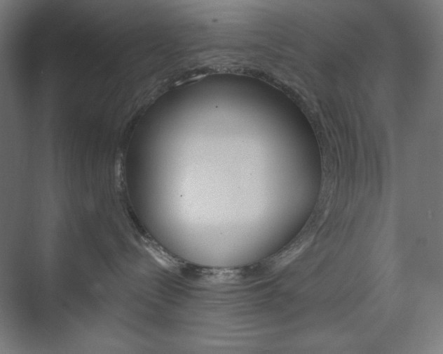 X0000073950288200608210950