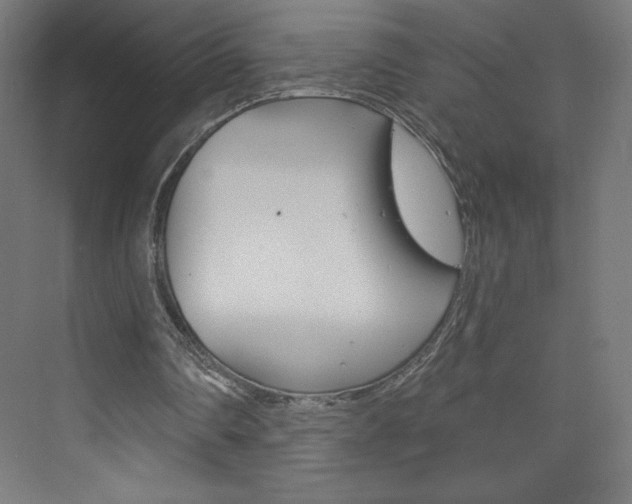X0000073950290200608210949