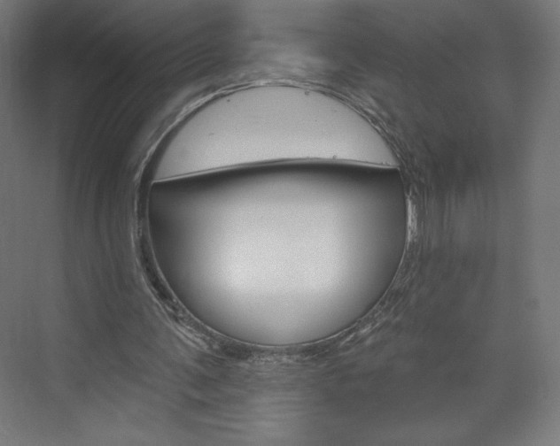 X0000073950291200608210949