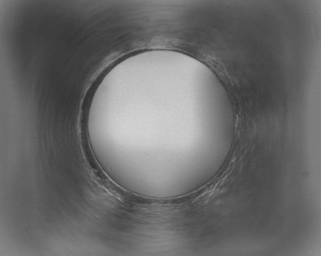 X0000073950292200608210949