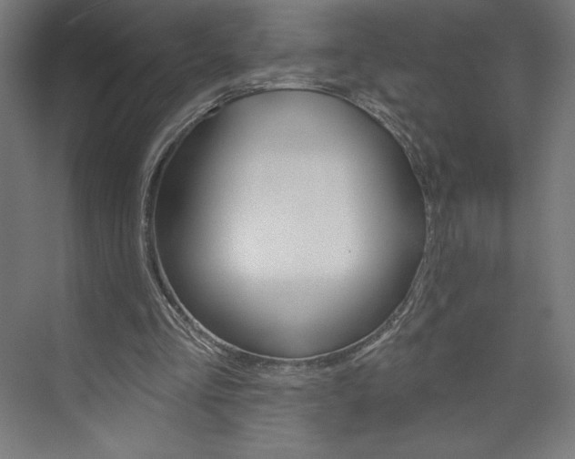 X0000073950293200608210949