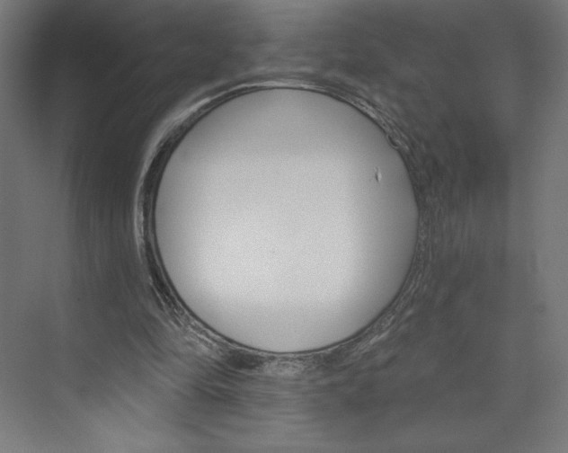 X0000073950294200608210949