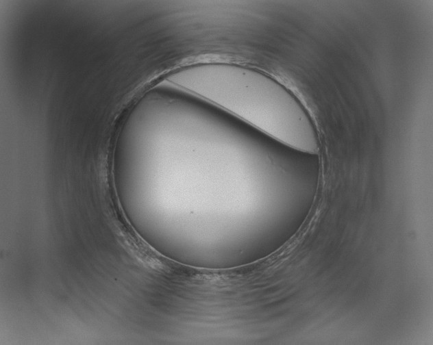 X0000073950297200608210949