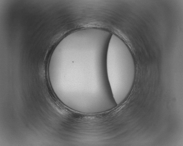 X0000073950298200608210949