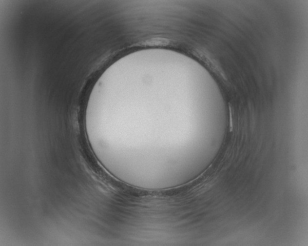 X0000073950300200608210949