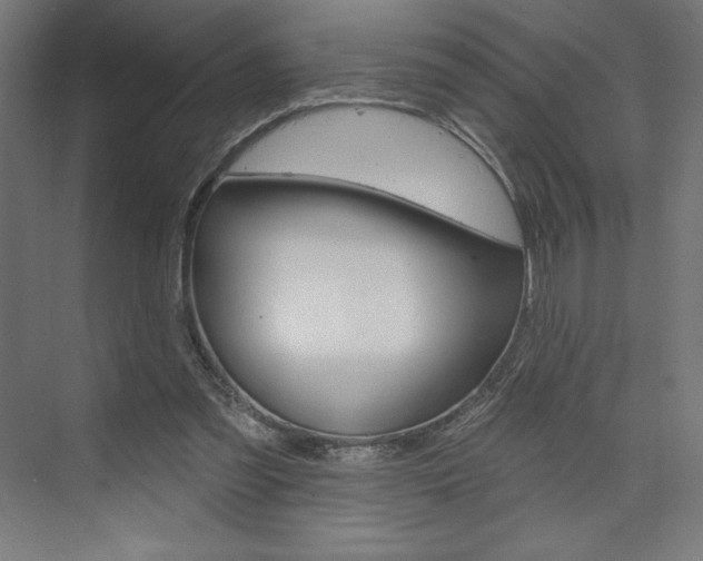 X0000073950301200608210949